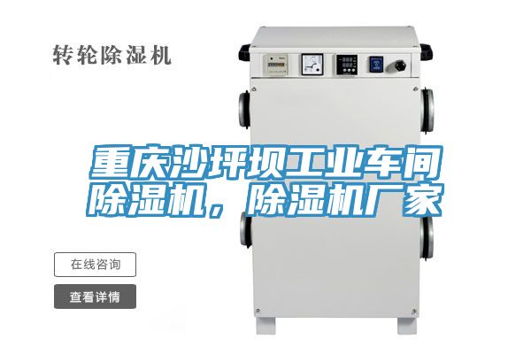 重慶沙坪壩工業(yè)車間除濕機，除濕機廠家