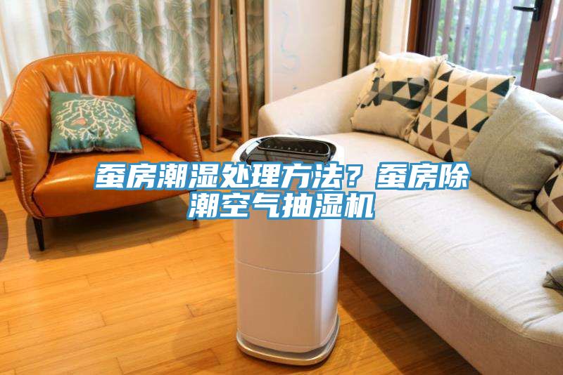 蠶房潮濕處理方法？蠶房除潮空氣抽濕機(jī)