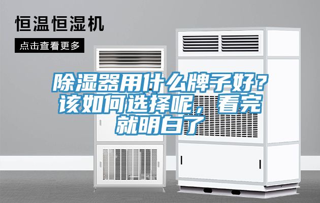 除濕器用什么牌子好？該如何選擇呢，看完就明白了