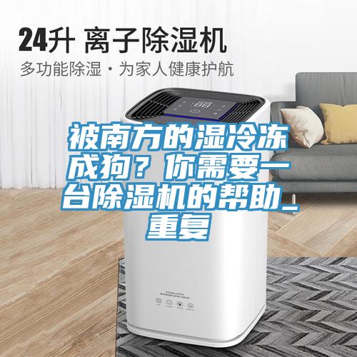被南方的濕冷凍成狗？你需要一臺除濕機的幫助_重復