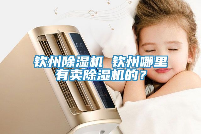 欽州除濕機 欽州哪里有賣除濕機的？