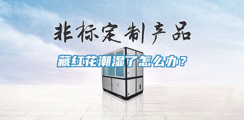 藏紅花潮濕了怎么辦？