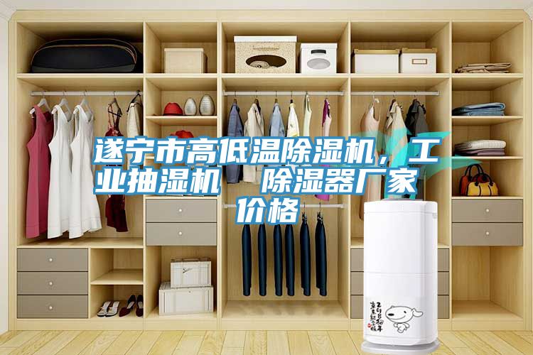 遂寧市高低溫除濕機，工業(yè)抽濕機  除濕器廠家 價格