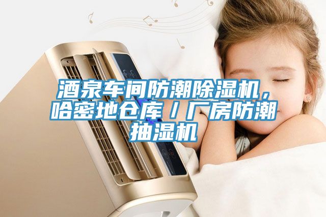 酒泉車間防潮除濕機(jī)，哈密地倉庫／廠房防潮抽濕機(jī)