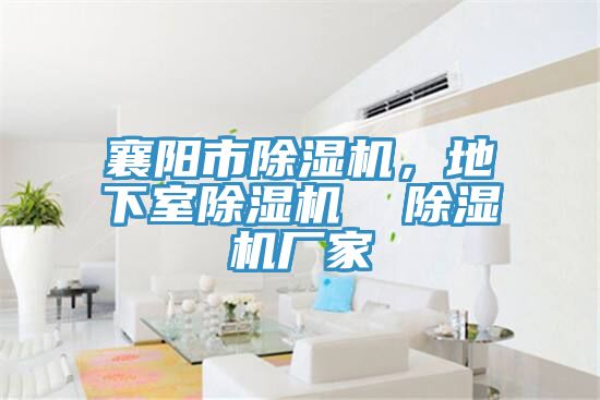 襄陽市除濕機，地下室除濕機  除濕機廠家