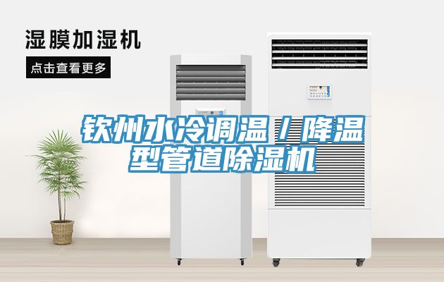欽州水冷調(diào)溫／降溫型管道除濕機