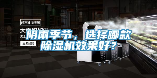 陰雨季節(jié)，選擇哪款除濕機效果好？