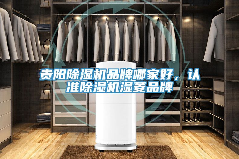 貴陽除濕機品牌哪家好，認準除濕機濕菱品牌