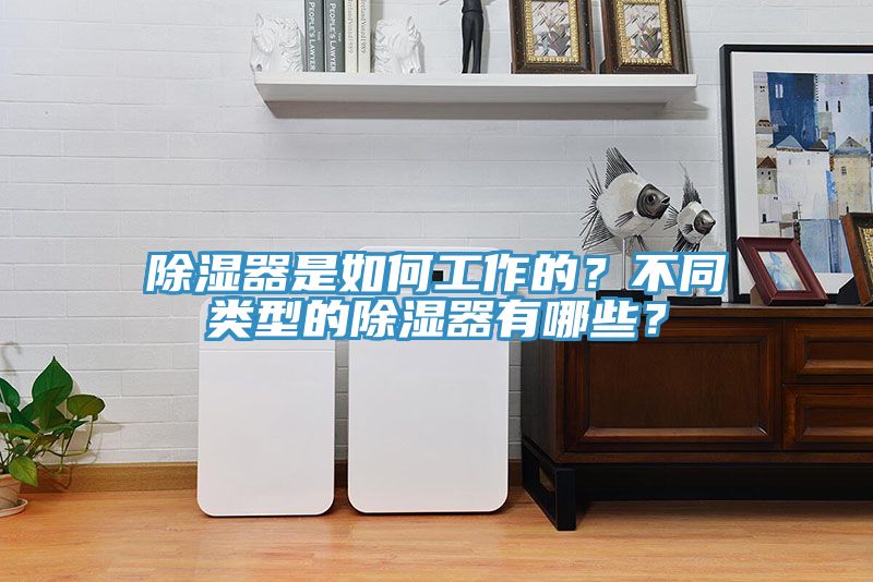 除濕器是如何工作的？不同類型的除濕器有哪些？