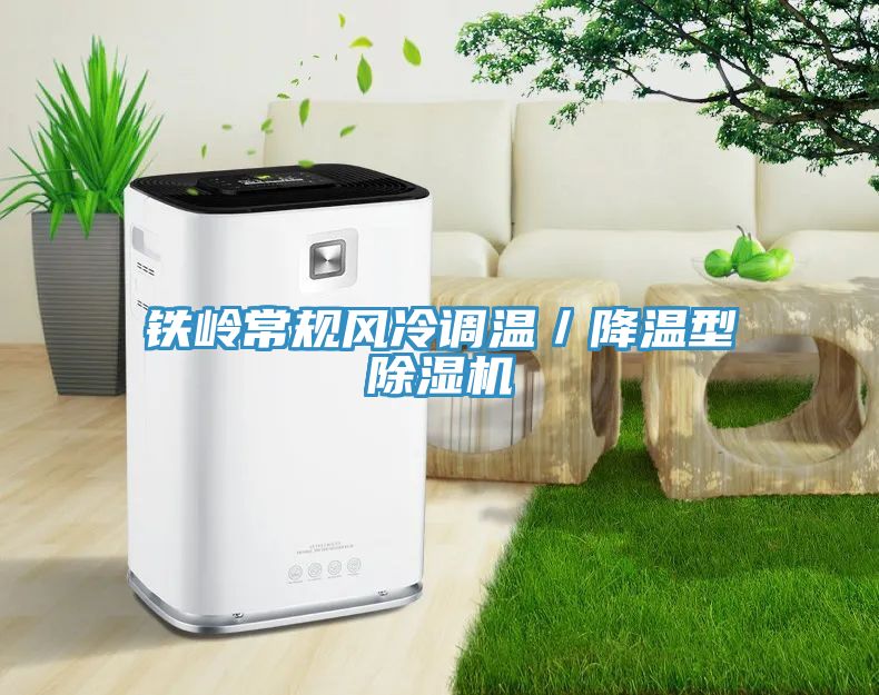 鐵嶺常規(guī)風(fēng)冷調(diào)溫／降溫型除濕機