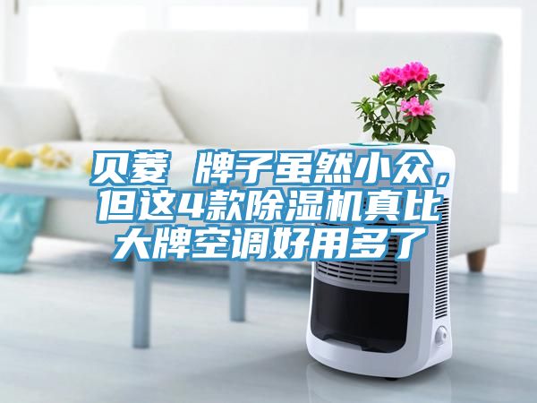 貝菱 牌子雖然小眾，但這4款除濕機真比大牌空調(diào)好用多了
