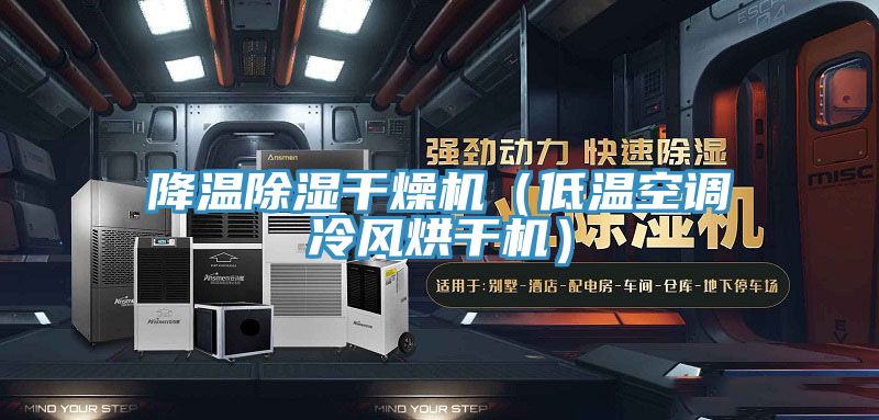 降溫除濕干燥機（低溫空調冷風烘干機）