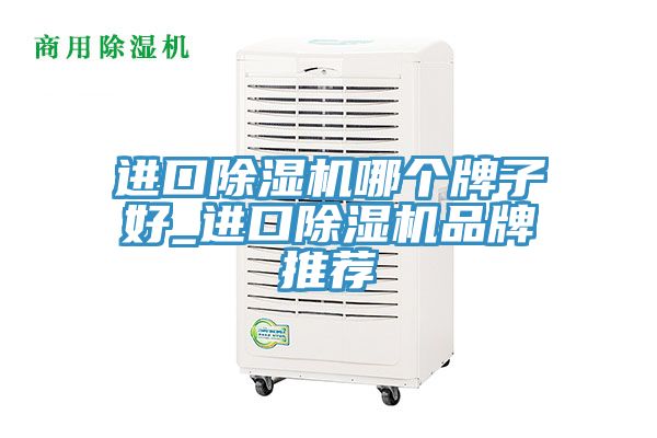 進(jìn)口除濕機(jī)哪個牌子好_進(jìn)口除濕機(jī)品牌推薦
