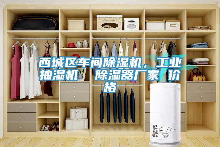 西城區(qū)車間除濕機，工業(yè)抽濕機  除濕器廠家 價格