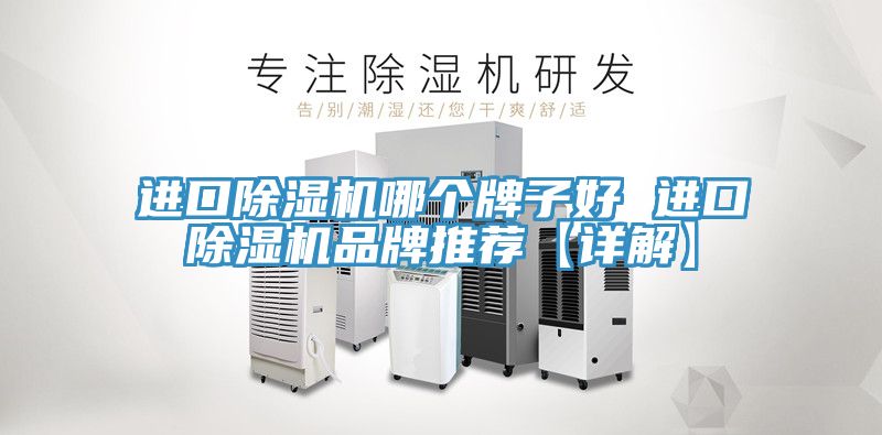 進(jìn)口除濕機(jī)哪個牌子好 進(jìn)口除濕機(jī)品牌推薦【詳解】