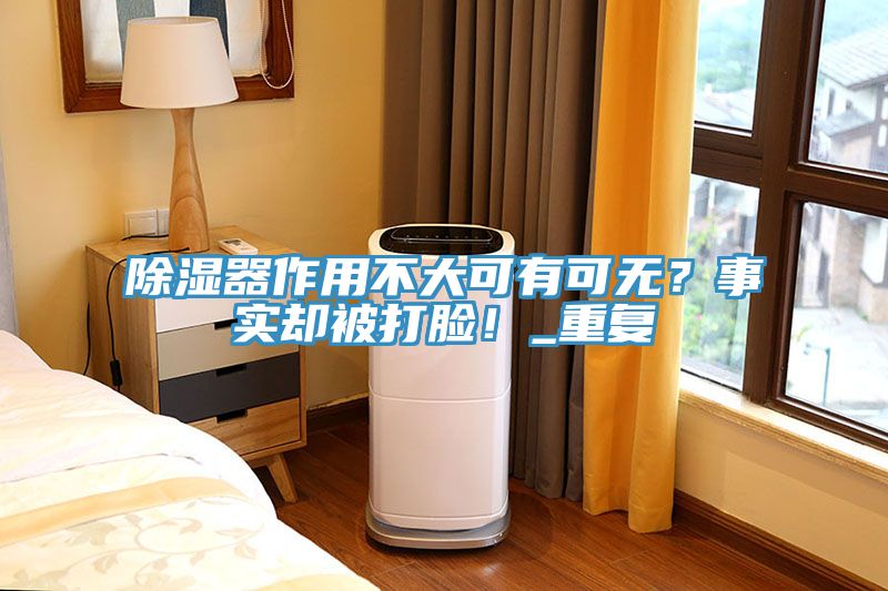 除濕器作用不大可有可無？事實卻被打臉！_重復