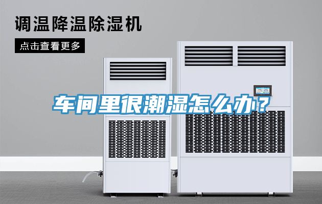 車間里很潮濕怎么辦？