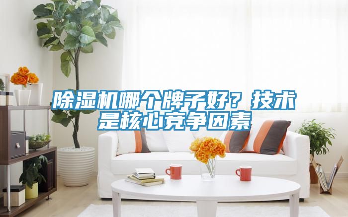 除濕機哪個牌子好？技術(shù)是核心競爭因素