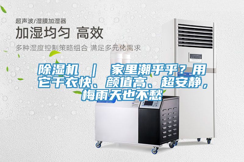 除濕機(jī) ｜ 家里潮乎乎？用它干衣快、顏值高、超安靜，梅雨天也不愁