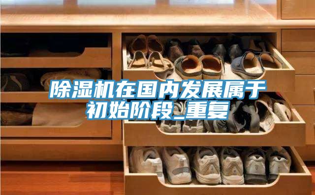除濕機(jī)在國(guó)內(nèi)發(fā)展屬于初始階段_重復(fù)