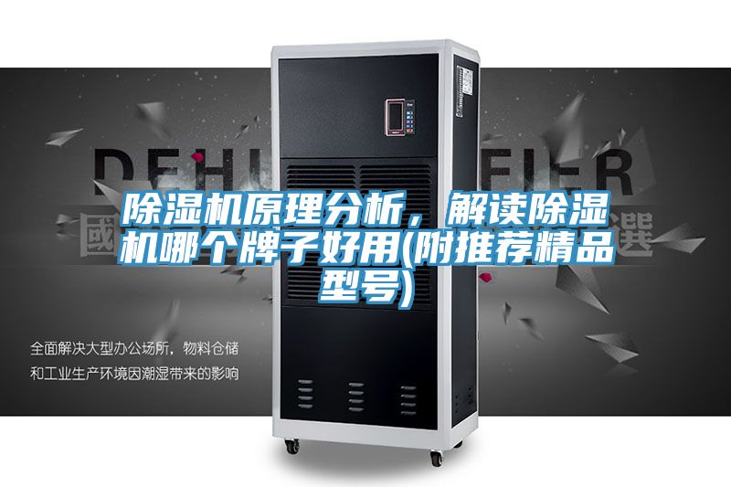 除濕機原理分析，解讀除濕機哪個牌子好用(附推薦精品型號)
