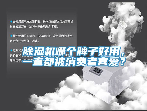 除濕機(jī)哪個(gè)牌子好用，一直都被消費(fèi)者喜愛？