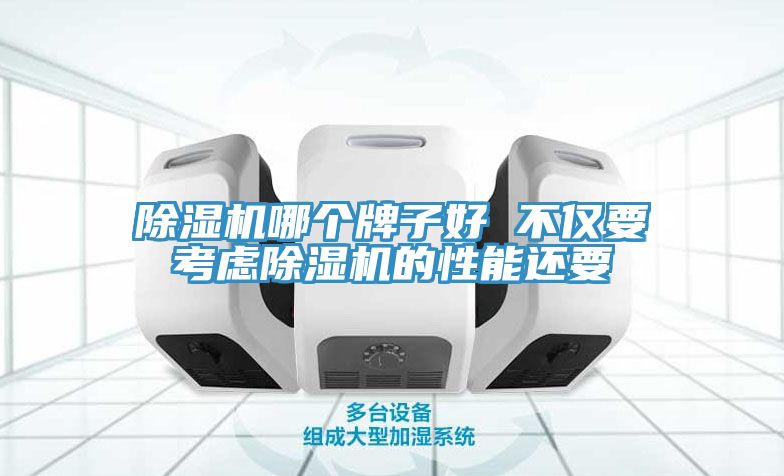除濕機(jī)哪個牌子好 不僅要考慮除濕機(jī)的性能還要
