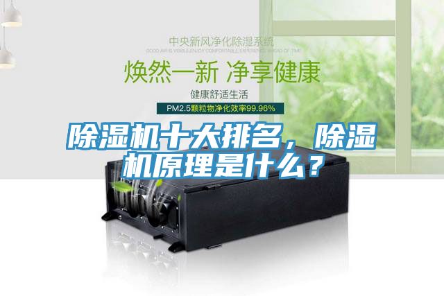 除濕機(jī)十大排名，除濕機(jī)原理是什么？
