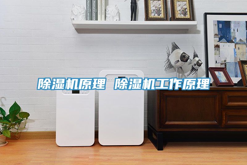 除濕機(jī)原理 除濕機(jī)工作原理