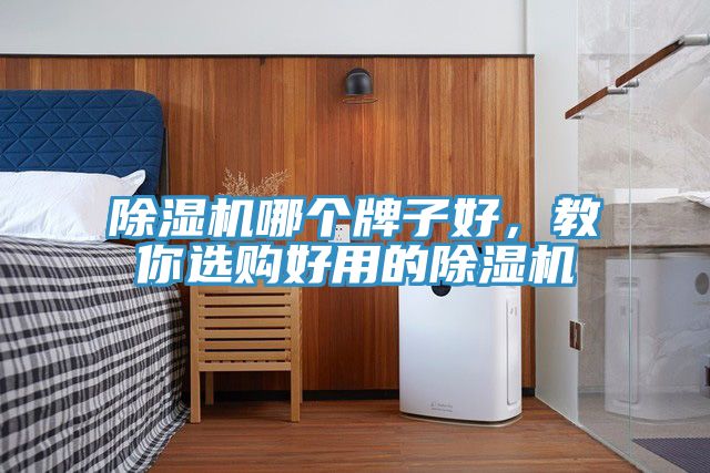 除濕機哪個牌子好，教你選購好用的除濕機