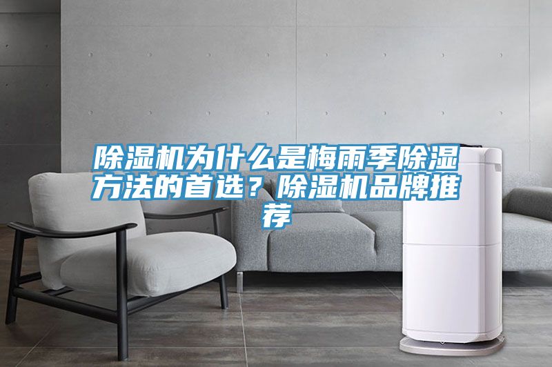 除濕機為什么是梅雨季除濕方法的首選？除濕機品牌推薦