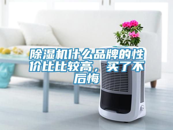 除濕機(jī)什么品牌的性價比比較高，買了不后悔