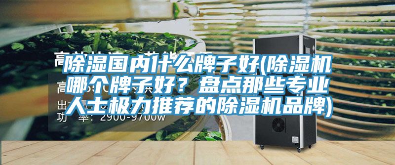 除濕國內(nèi)什么牌子好(除濕機哪個牌子好？盤點那些專業(yè)人士極力推薦的除濕機品牌)