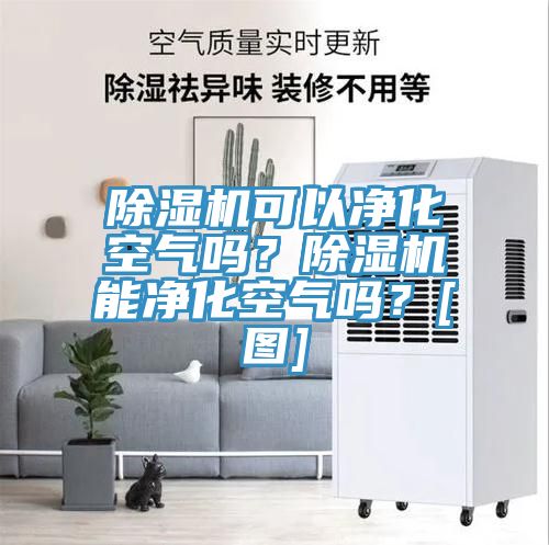 除濕機(jī)可以凈化空氣嗎？除濕機(jī)能凈化空氣嗎？[圖]