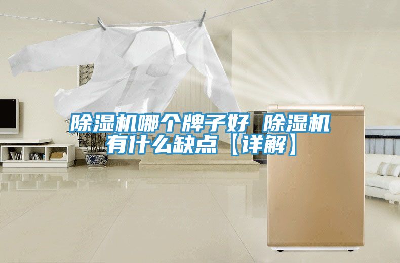 除濕機(jī)哪個牌子好 除濕機(jī)有什么缺點(diǎn)【詳解】