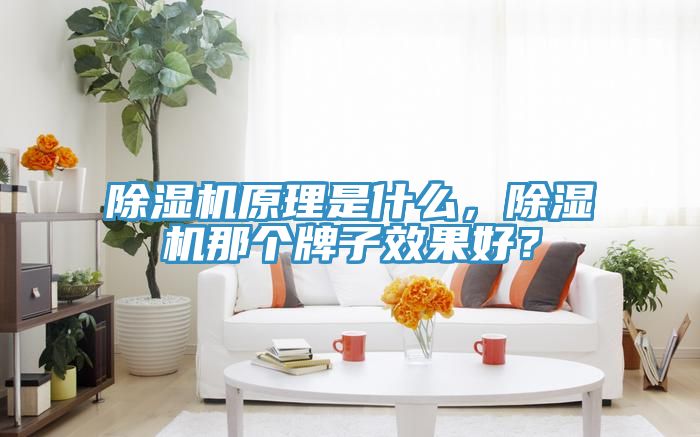 除濕機(jī)原理是什么，除濕機(jī)那個(gè)牌子效果好？