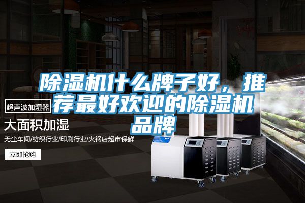 除濕機什么牌子好，推薦最好歡迎的除濕機品牌