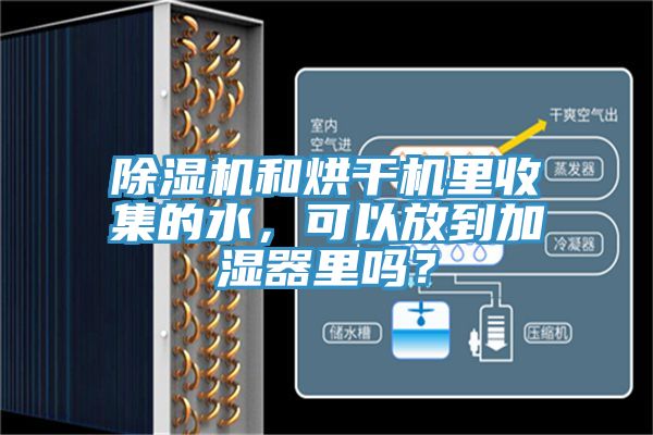 除濕機(jī)和烘干機(jī)里收集的水，可以放到加濕器里嗎？