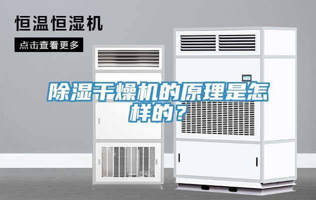 除濕干燥機(jī)的原理是怎樣的？