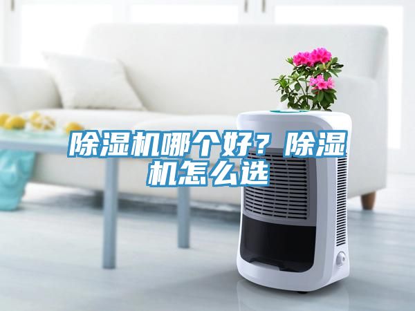除濕機(jī)哪個好？除濕機(jī)怎么選