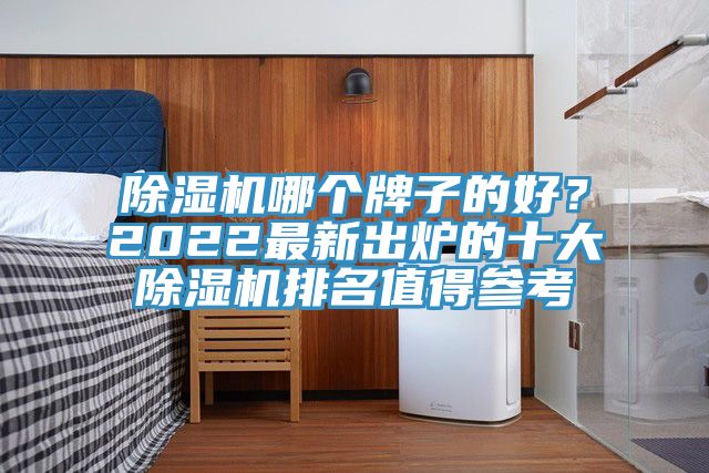 除濕機(jī)哪個(gè)牌子的好？2022最新出爐的十大除濕機(jī)排名值得參考