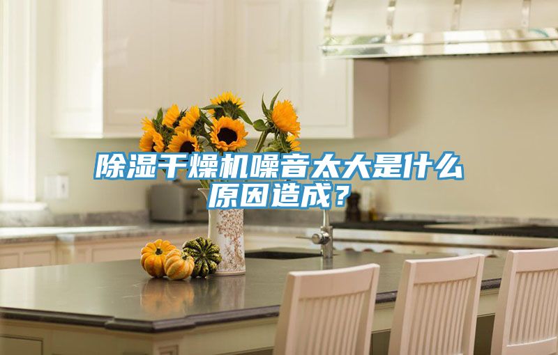 除濕干燥機(jī)噪音太大是什么原因造成？