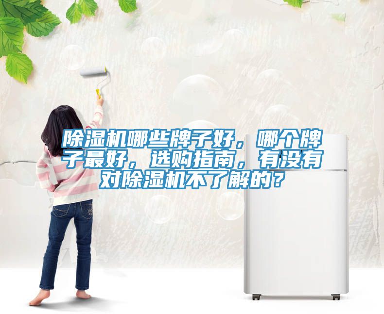 除濕機(jī)哪些牌子好，哪個(gè)牌子最好，選購指南，有沒有對(duì)除濕機(jī)不了解的？