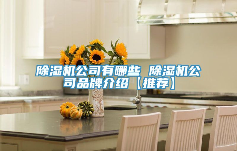 除濕機公司有哪些 除濕機公司品牌介紹【推薦】