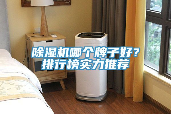 除濕機哪個牌子好？排行榜實力推薦