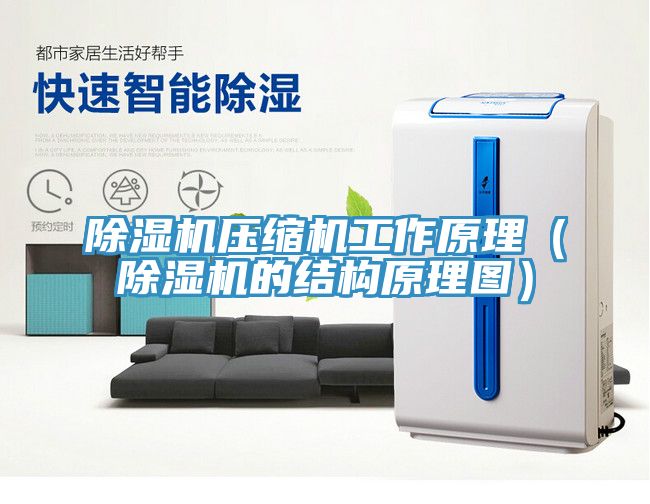 除濕機(jī)壓縮機(jī)工作原理（除濕機(jī)的結(jié)構(gòu)原理圖）
