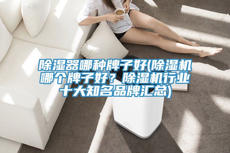 除濕器哪種牌子好(除濕機哪個牌子好？除濕機行業(yè)十大知名品牌匯總)