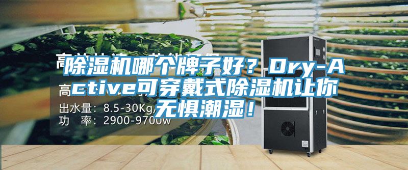 除濕機哪個牌子好？Dry-Active可穿戴式除濕機讓你無懼潮濕！