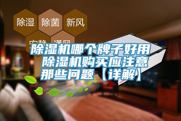 除濕機(jī)哪個(gè)牌子好用 除濕機(jī)購買應(yīng)注意那些問題【詳解】
