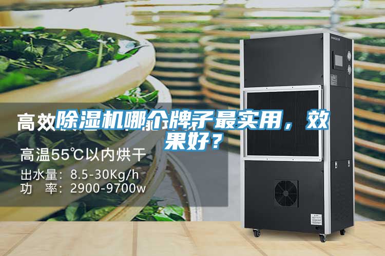除濕機(jī)哪個(gè)牌子最實(shí)用，效果好？